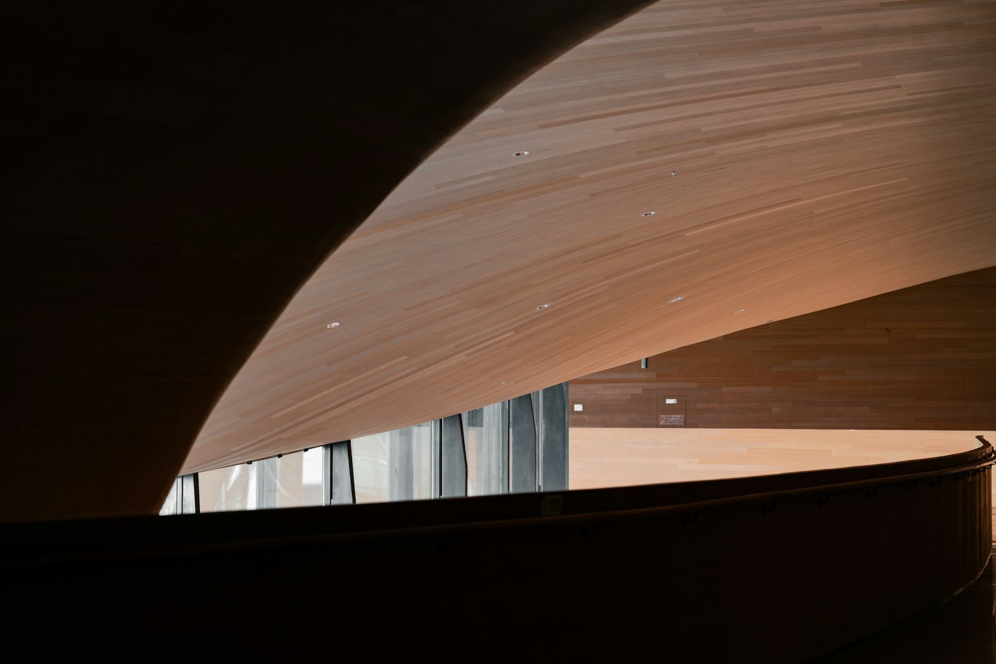 Soffitti e pareti in legno curvi all'interno di un edificio moderno.
