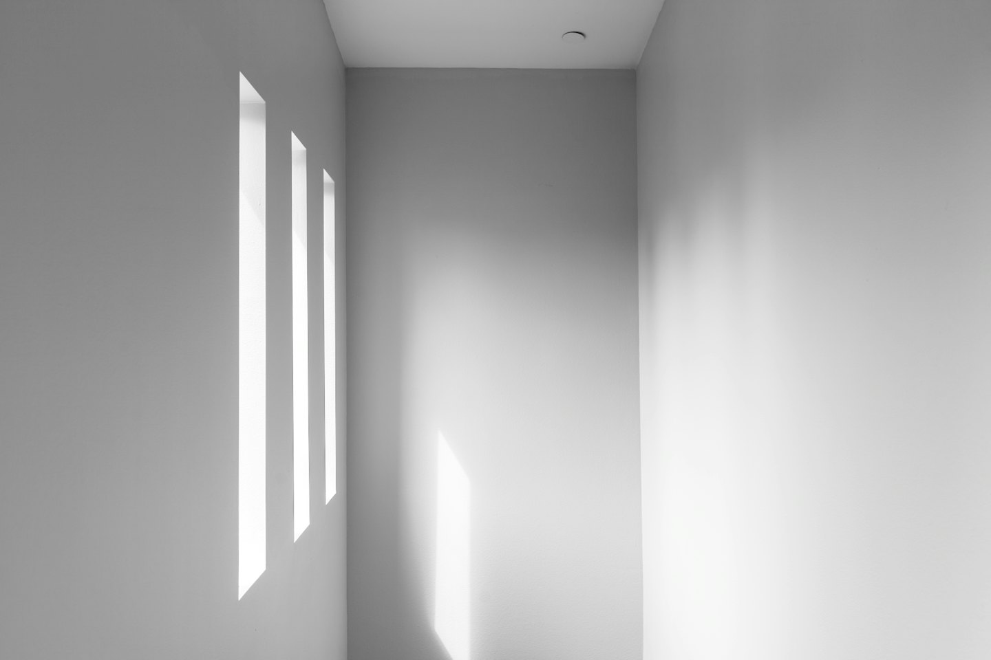 La luce del sole filtra da alte finestre in una stanza moderna.